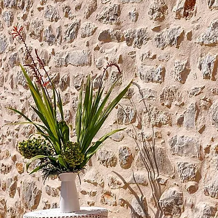 Lithos Stone Koita